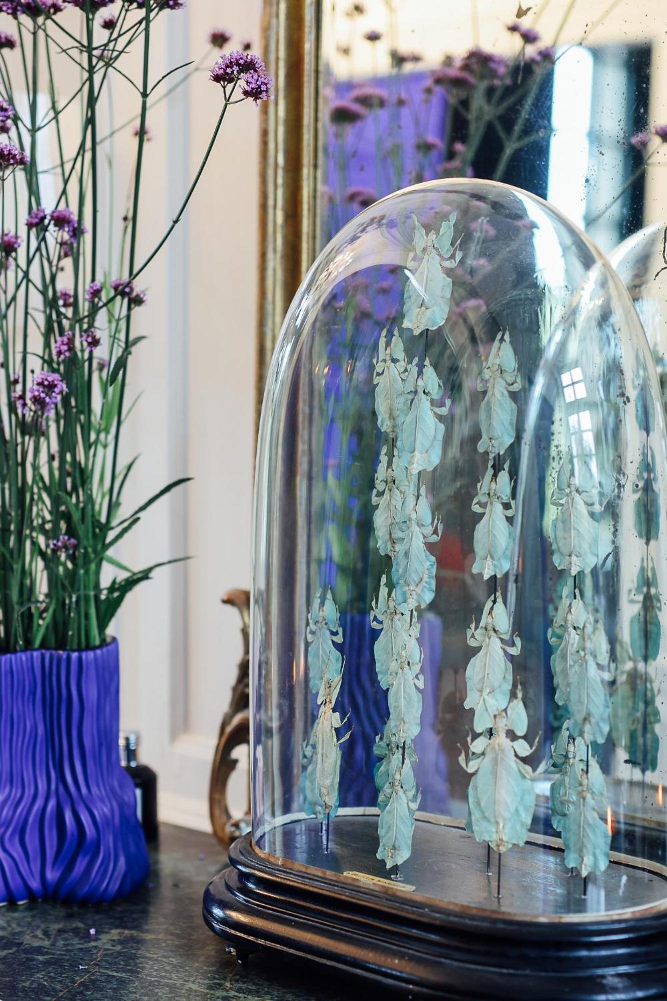 Bed and Breakfast Malouiniere Guillaume Onffroy Saint-Malo Esterno foto