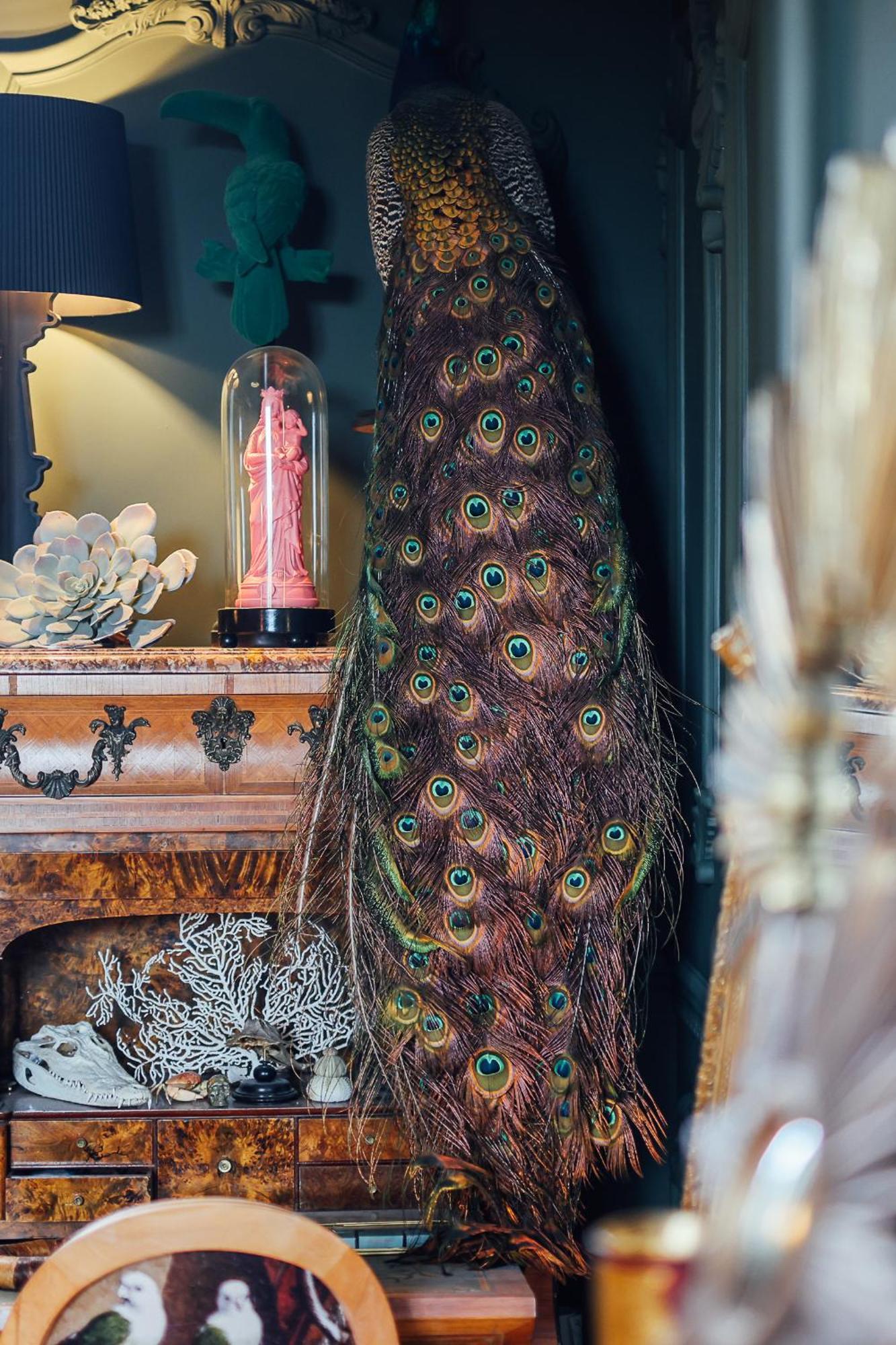 Bed and Breakfast Malouiniere Guillaume Onffroy Saint-Malo Esterno foto
